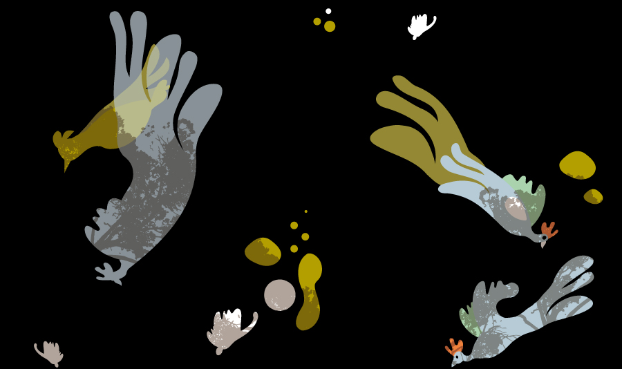 BIrds in the sky, illustrated by Montse Noguera